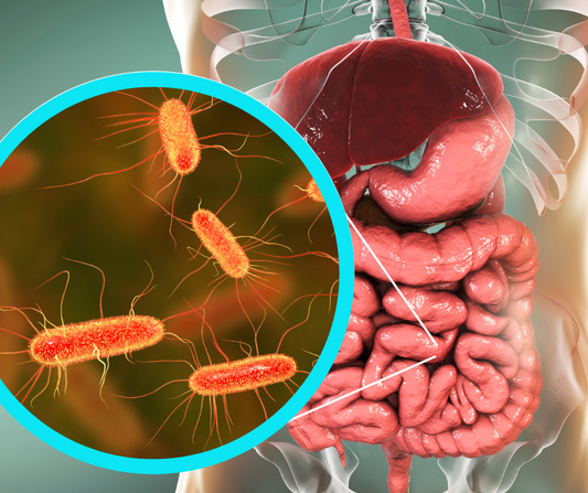 Gut Feeling: How the Microbiome affects Mind & Mood