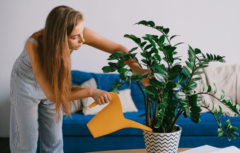buy a plant pot Fake Pothos Plant Store Display Stage Set Design Hone Staging Foliage –  Jamali Garden main image 1