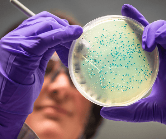 How does Alkaline Water affect the Microbiome? - Alkanatur North America