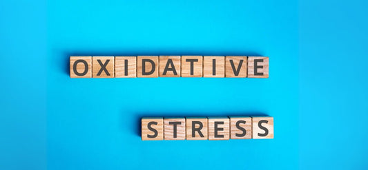 Oxidative Stress and Alkaline Water: Balance for a Healthy Life - Alkanatur North America