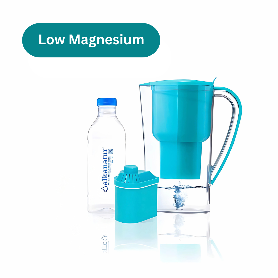 Water pitcher alkanatur with BPA free bottle and low emission filter