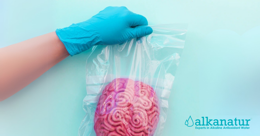 The Danger of Microplastics in the Brain