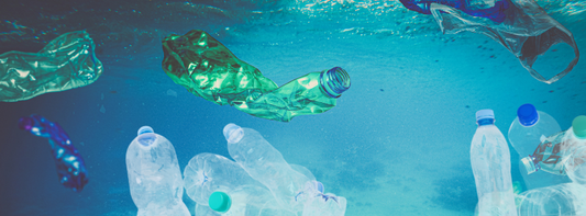 Drowning in Plastic: How to Help