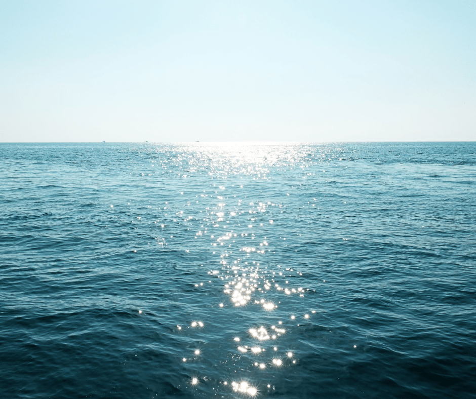 Avoid Bottled Water: Help Our Oceans - Alkanatur North America