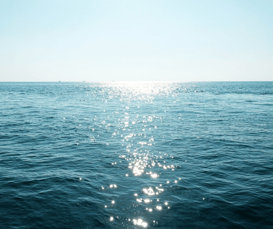 Avoid Bottled Water: Help Our Oceans - Alkanatur North America