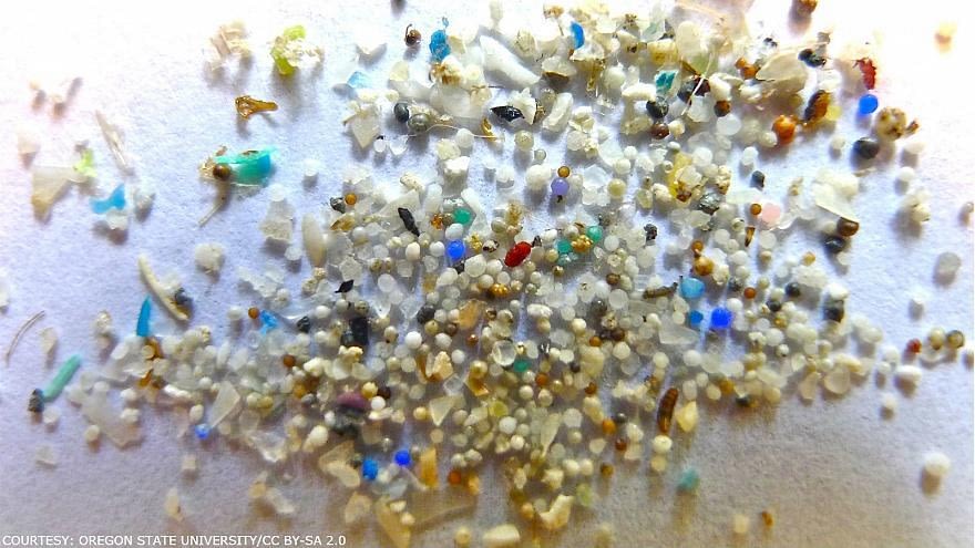 How Much Microplastic Does The Water You Drink Contain? - Alkanatur North America