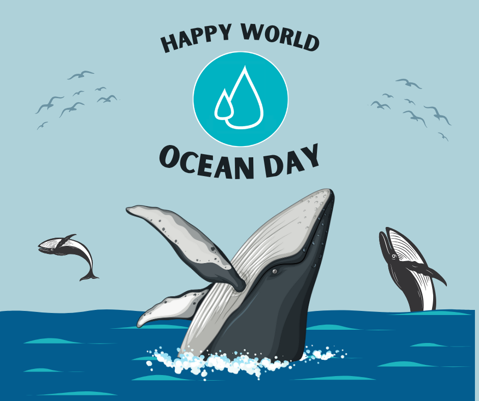 Seas the Day! Support Our Oceans