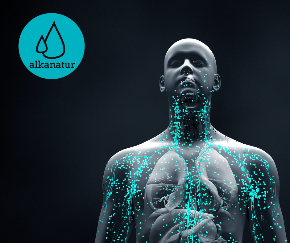 The Antioxidant Power of Alkanatur - Alkanatur North America