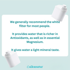 Alkanatur Replacement Filter (Single)