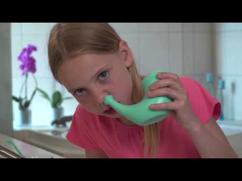 Limpiador nasal Neti Pot de cuerno de rinoceronte
